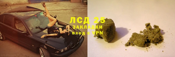 прущие грибы Абдулино