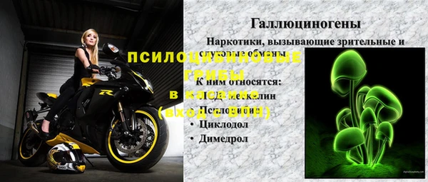 прущие грибы Абдулино