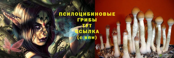 прущие грибы Абдулино