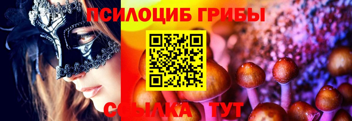 Красноуфимск  Псилоцибиновые грибы прущие грибы  Вход с VPN 